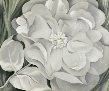  blanco - Flor de calicó blanco
